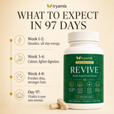 Revive — Golden Amla Superfruit