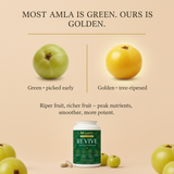 Most amla is green, ours is golden — TryAmla REVIVE