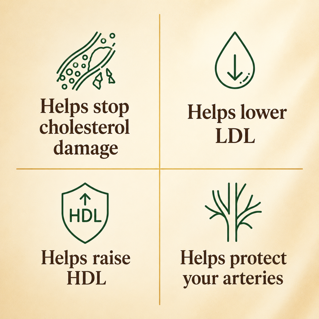Revive — Healthy Arteries & Cholesterol