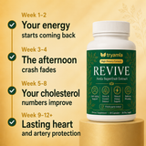 Revive — Healthy Arteries & Cholesterol