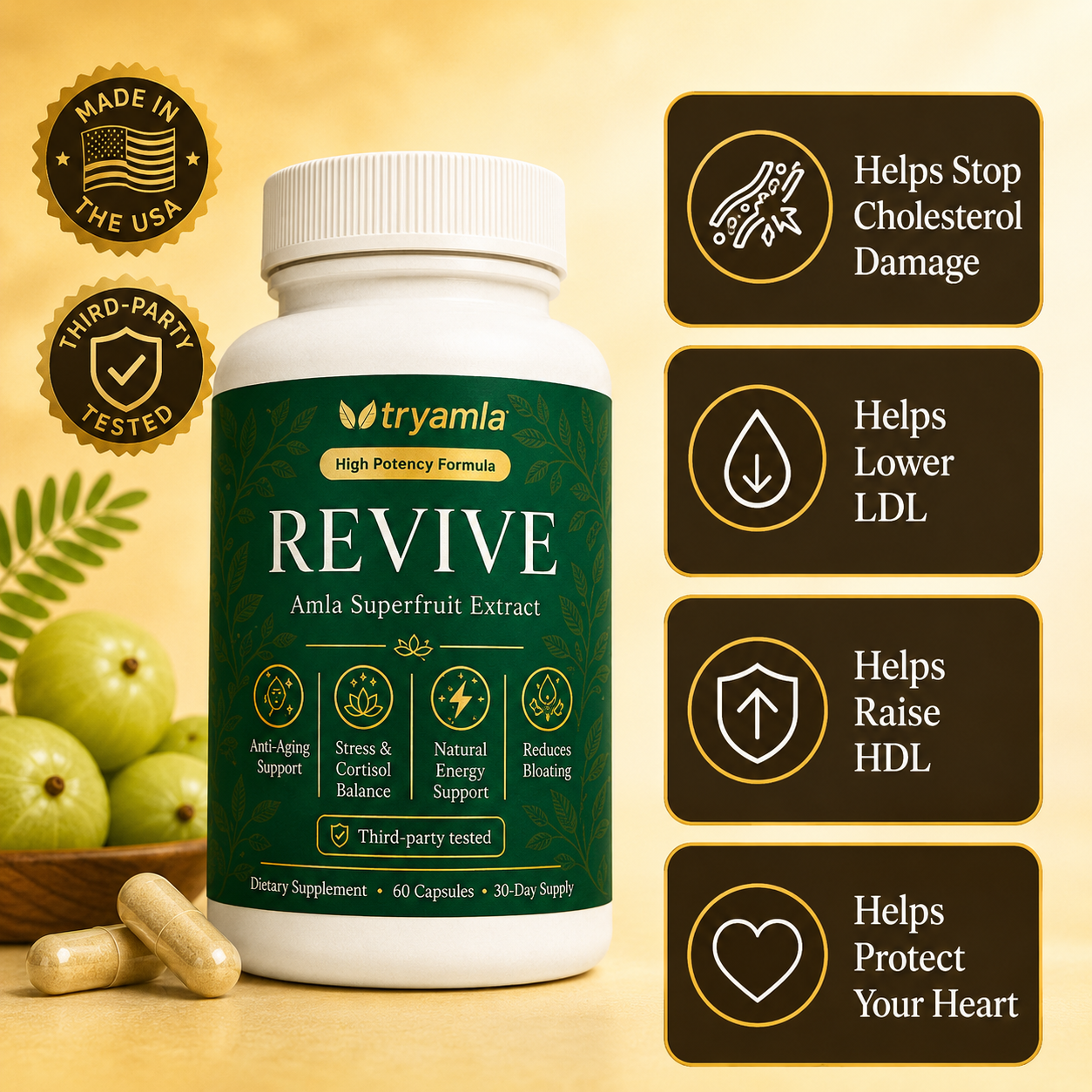 Revive — Healthy Arteries & Cholesterol