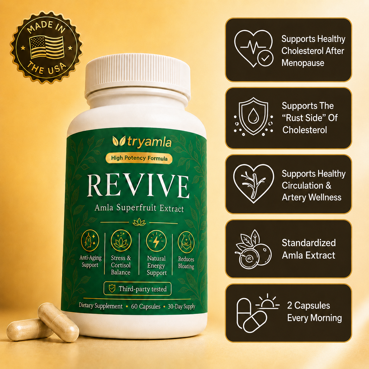 Revive — Kidney & Renal Support