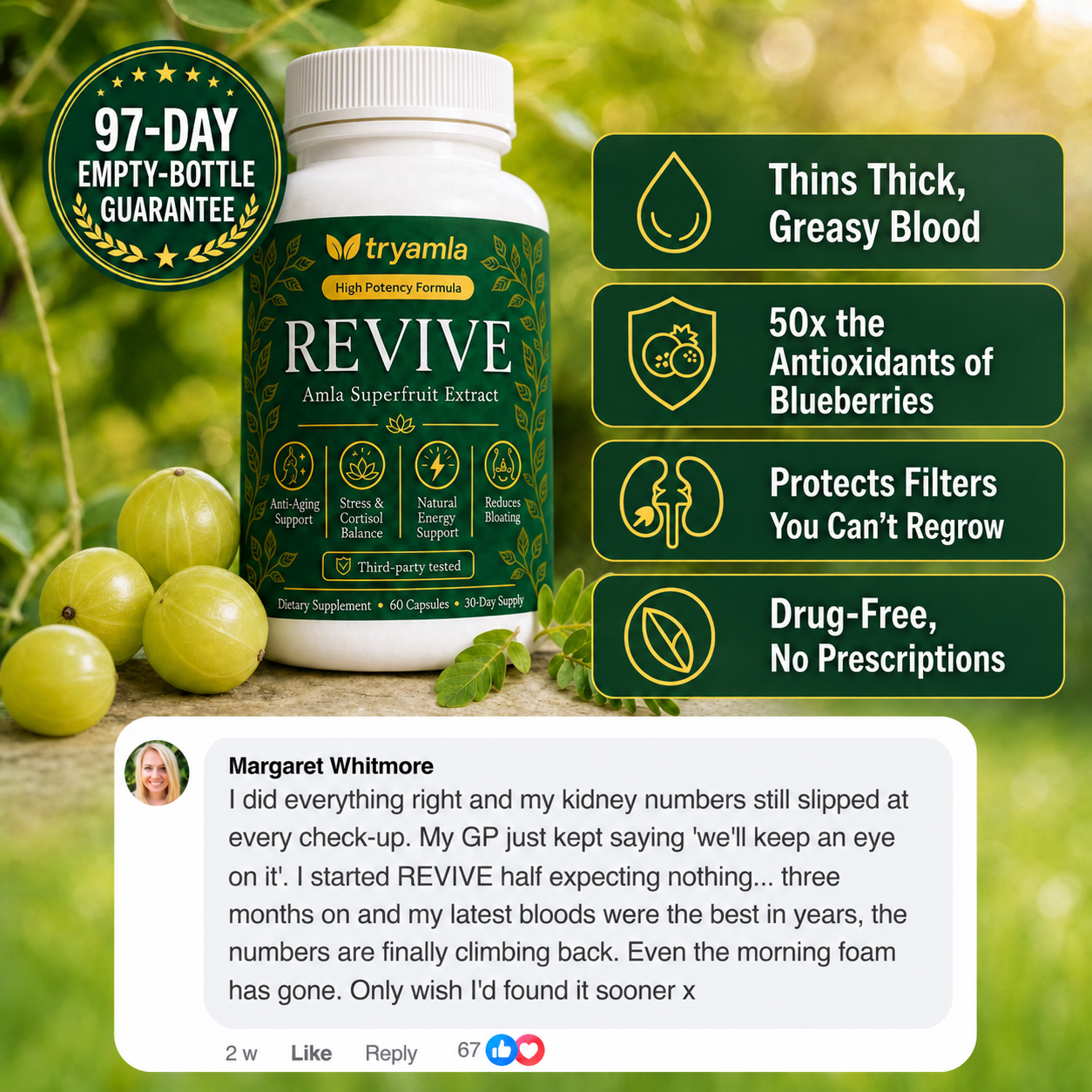 Revive — Kidney & Renal Support