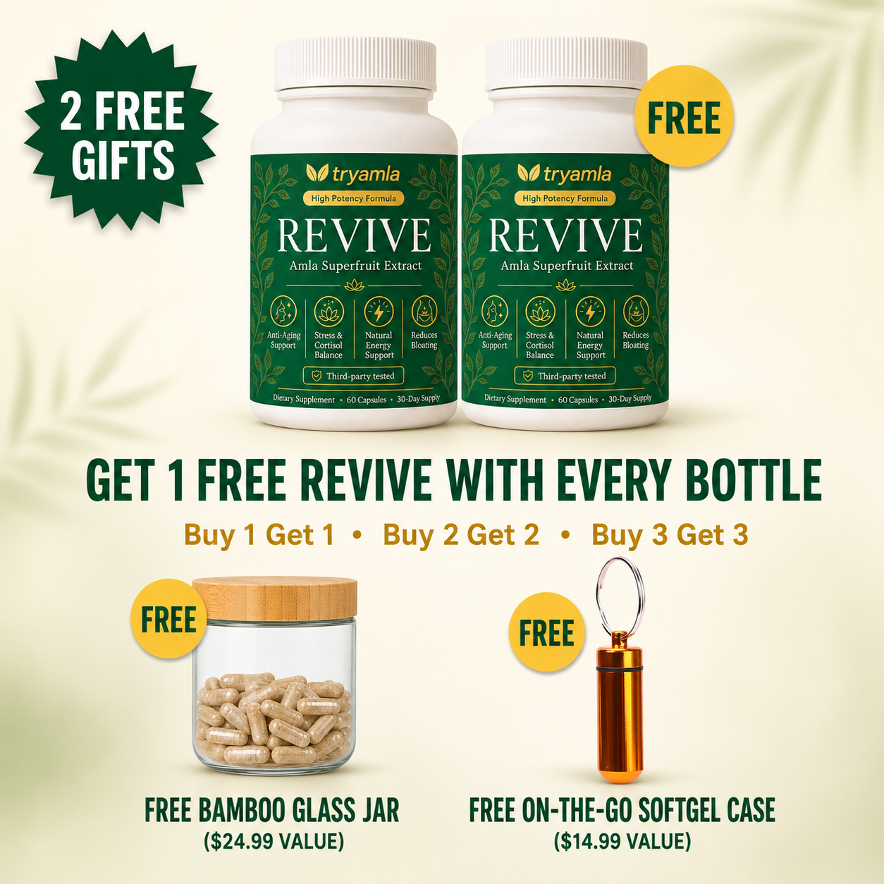 Revive — Golden Amla Superfruit Supplement