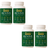 Revive — Golden Amla Superfruit Supplement