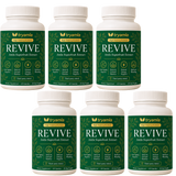Revive — Golden Amla Superfruit Supplement