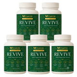 Revive — Golden Amla Superfruit