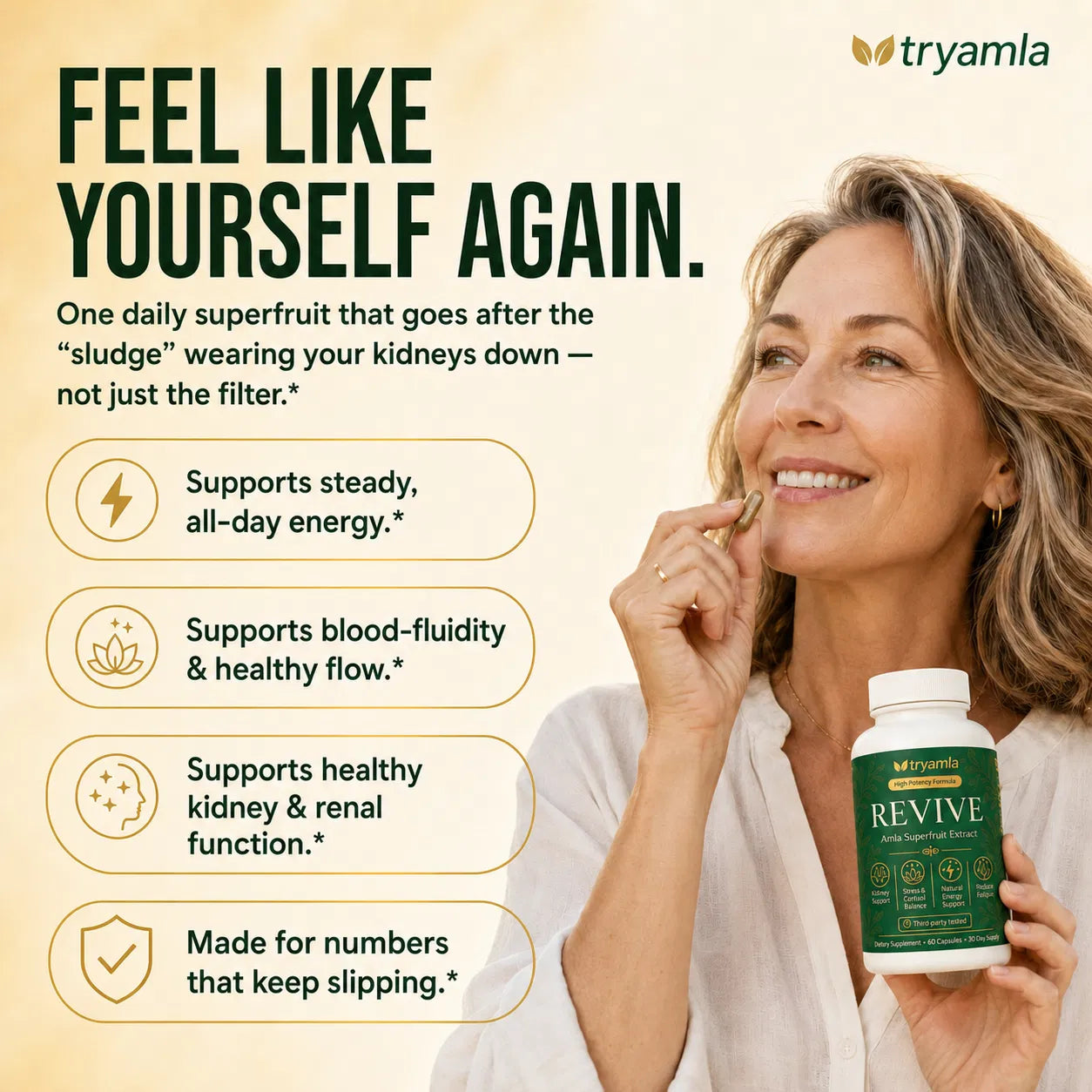 Feel like yourself again — amla for kidney health