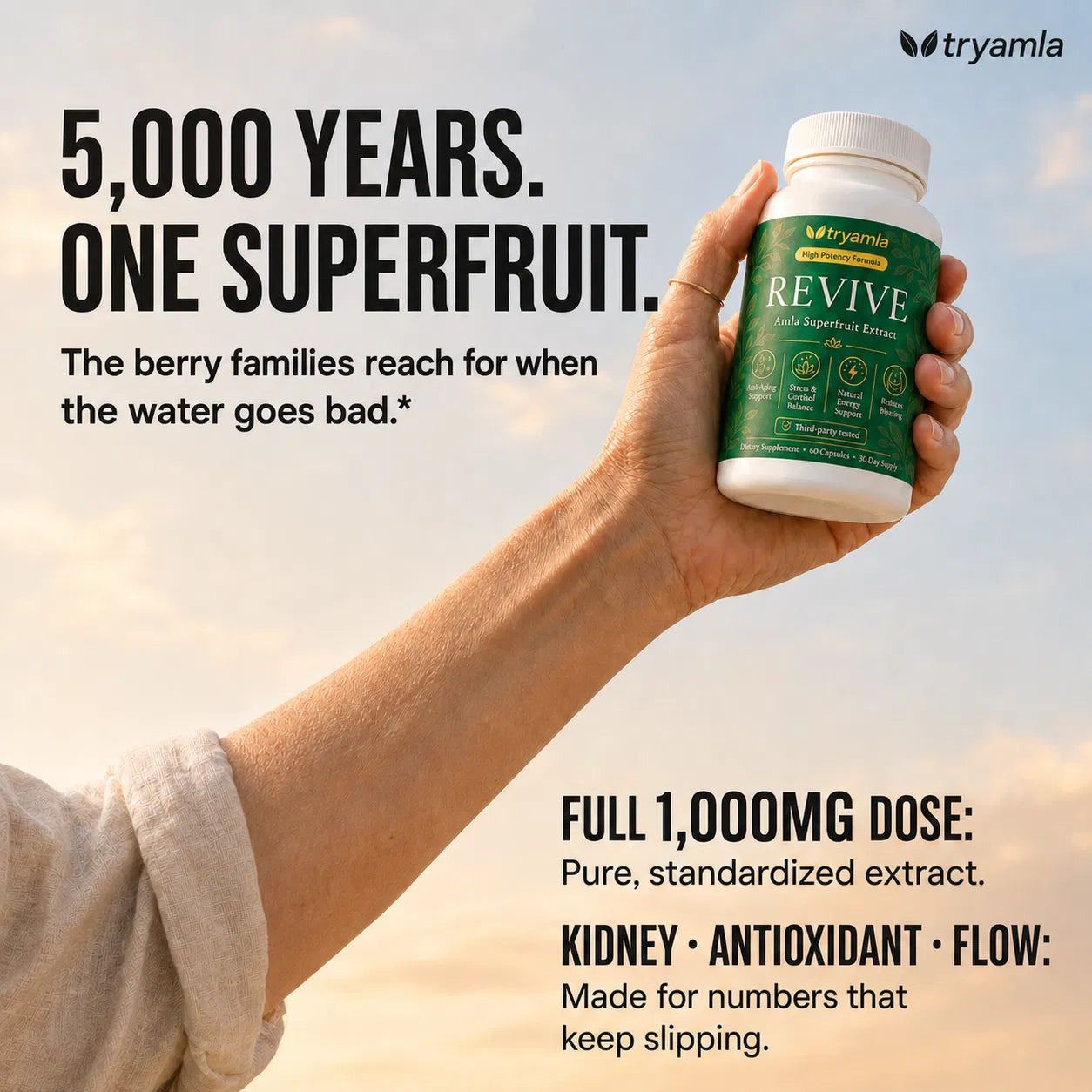 5,000 years, one superfruit — amla for kidneys