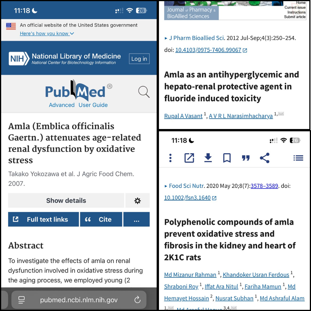 Three peer-reviewed studies on amla and kidney health, indexed on PubMed (National Library of Medicine)