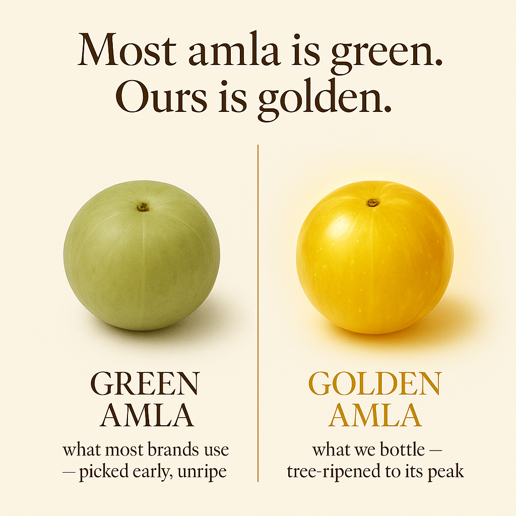 Most amla is green. Ours is golden — tree-ripened to its peak
